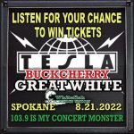 TESLA WFCU MARSHALL2 AMP